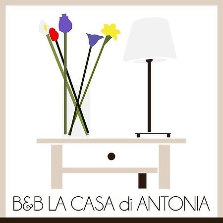La Casa Di Antonia Bed and Breakfast Roma Esterno foto